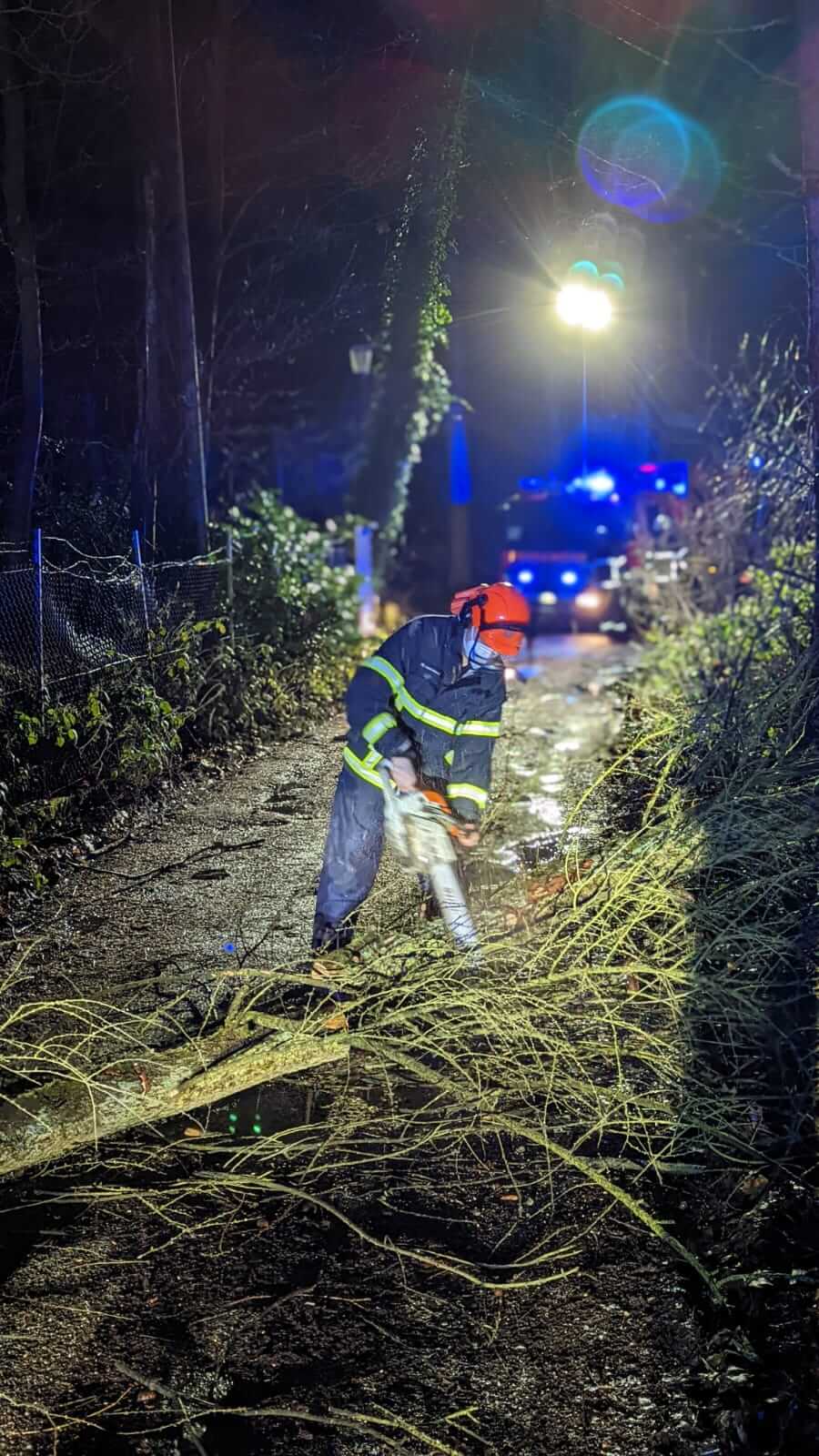Einsatzbild Einsatzbild - Baum in Stromleitung