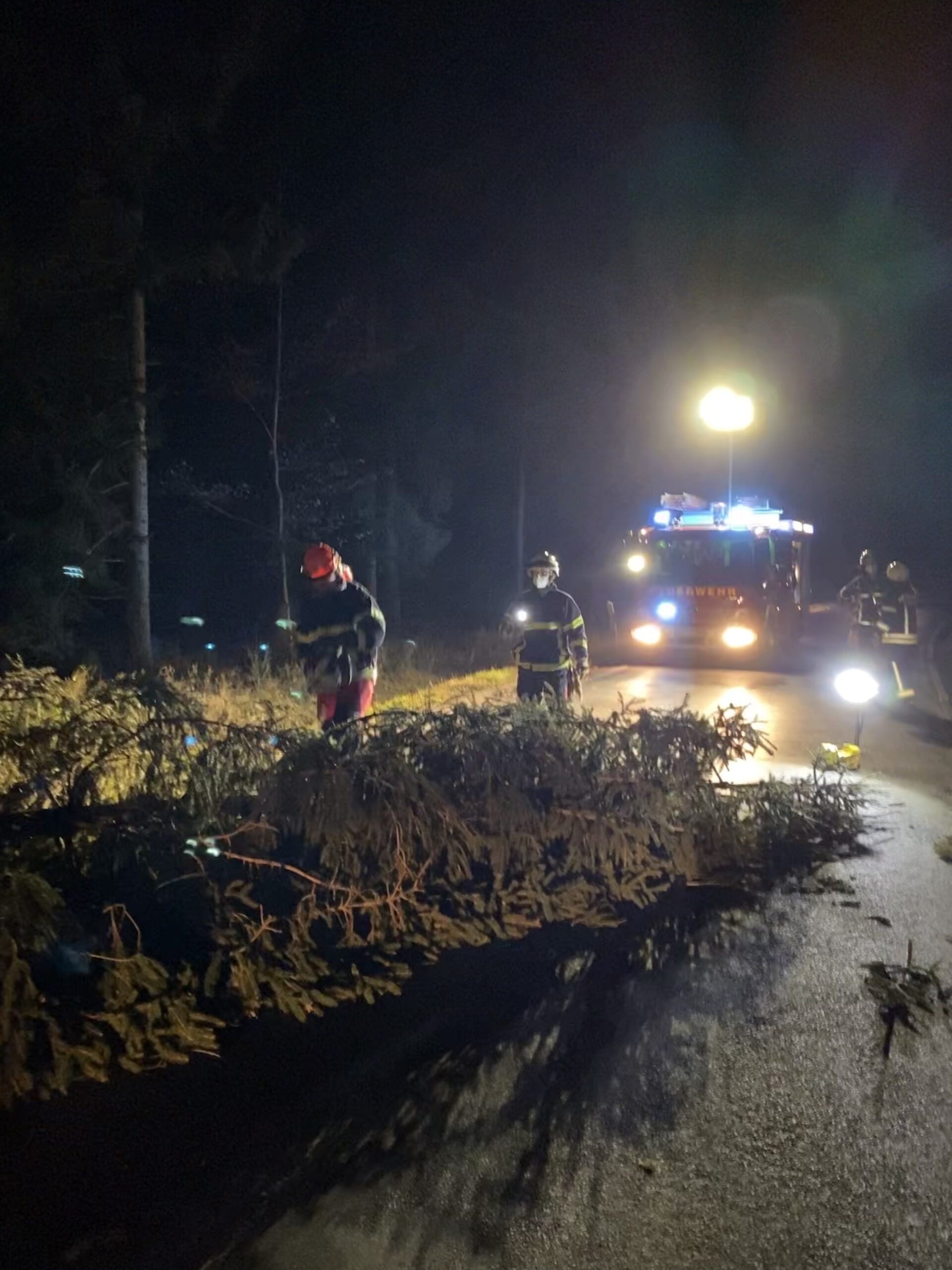 Umgestürzter Baum 4 umgestürzter Baum, Unwetter 17.02.2022, Vettelschoß, Feuerwehr